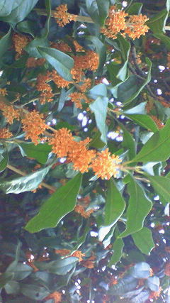 200710231629000.jpg